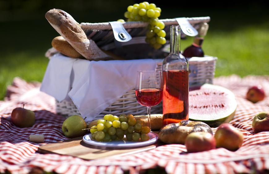 8 Picnic Spots in Montreal You Need To Experience 5
