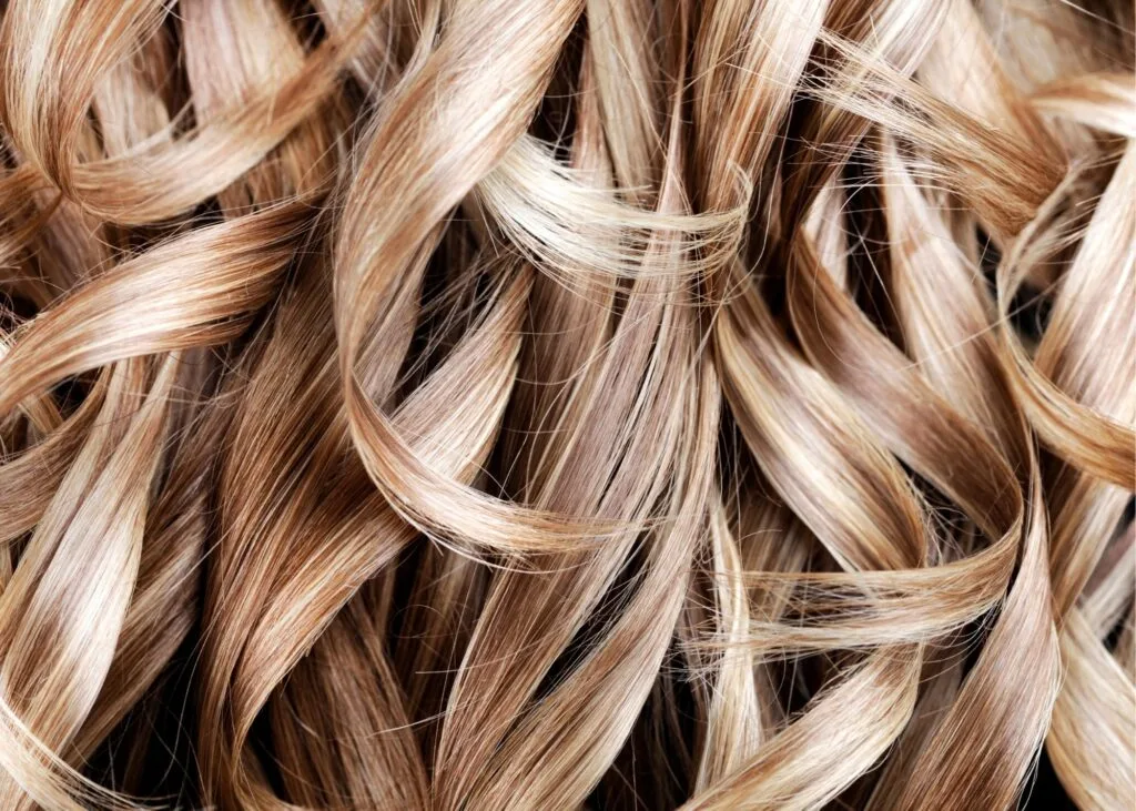 celebrity hair secrets, dirty blonde hair, ashblonde hair, icy blonde