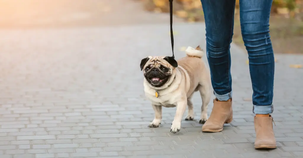 Holiday Crypto Report