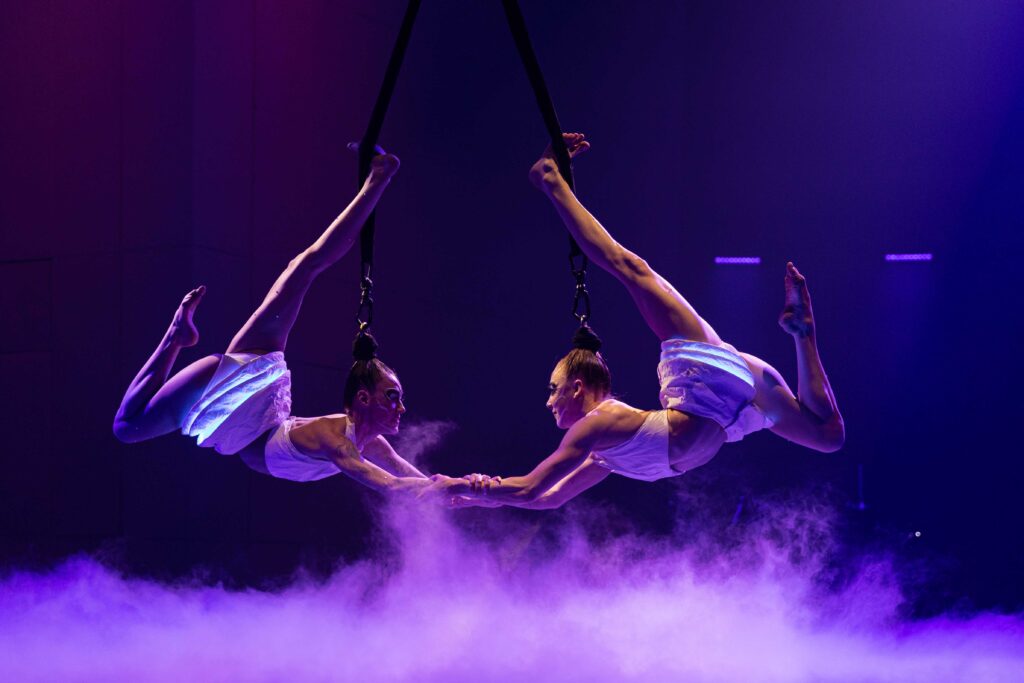 Tickets : Stage Duo Cerceau Aérien avec Marina Liloo - Billetweb