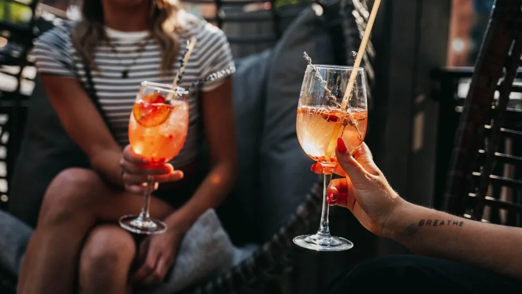 India Rosa - 35 exotic cocktails