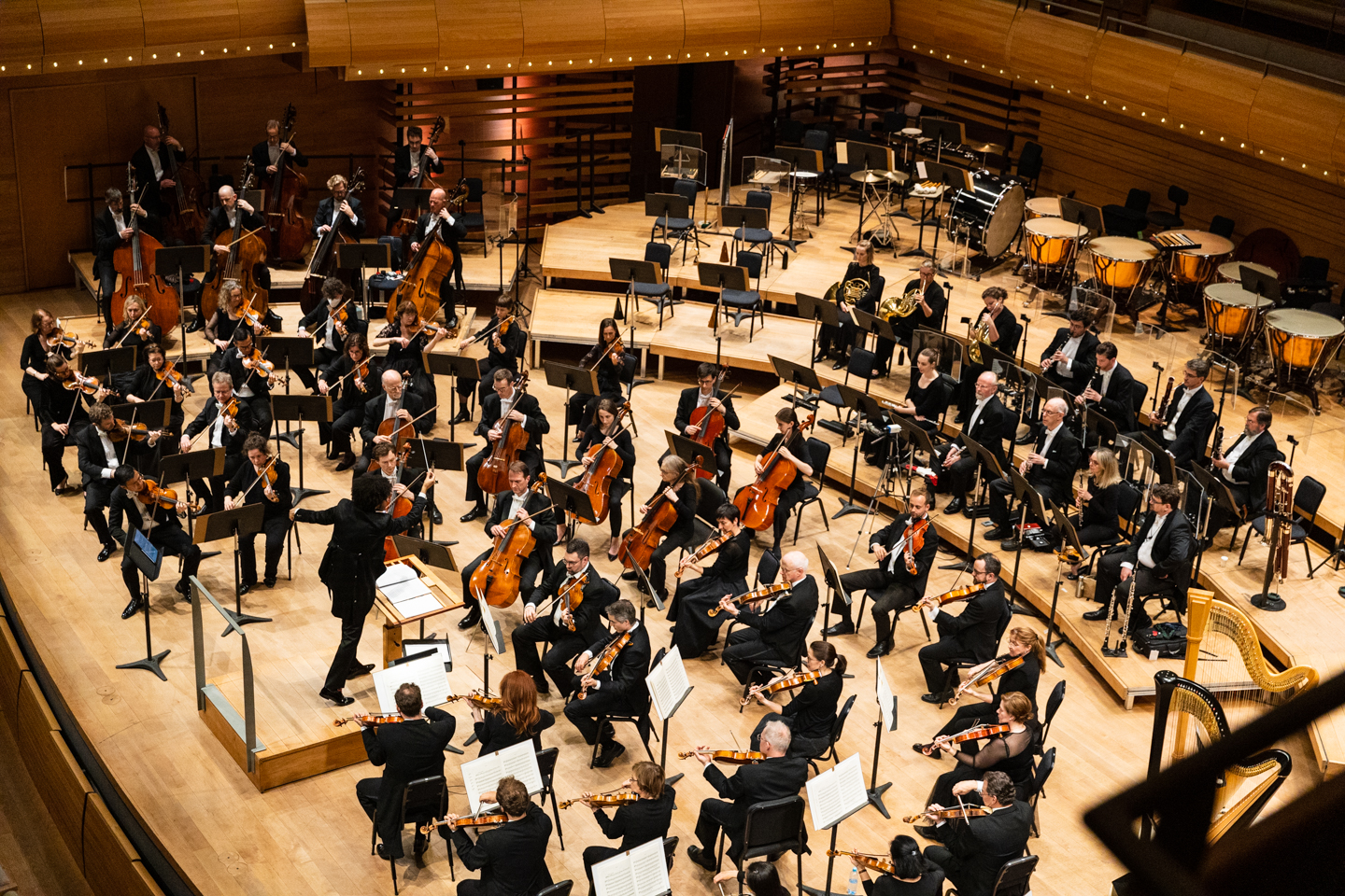 OSM Summer Night Ball 