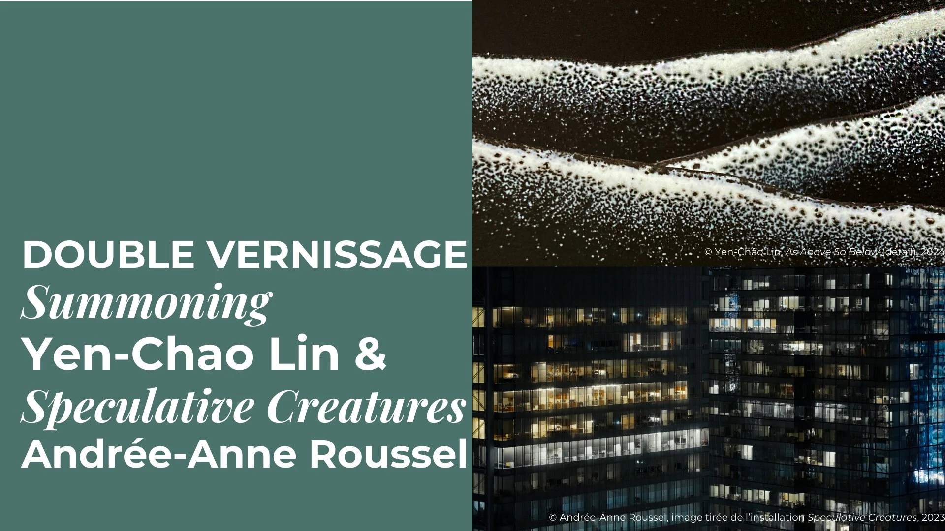 Montreal Art Exhibits Preview | Jan 23 – Jan 26 | Courtesy: Radio In Situ Magazine 5