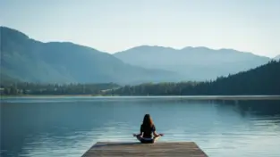 Lifestyle & Wellness