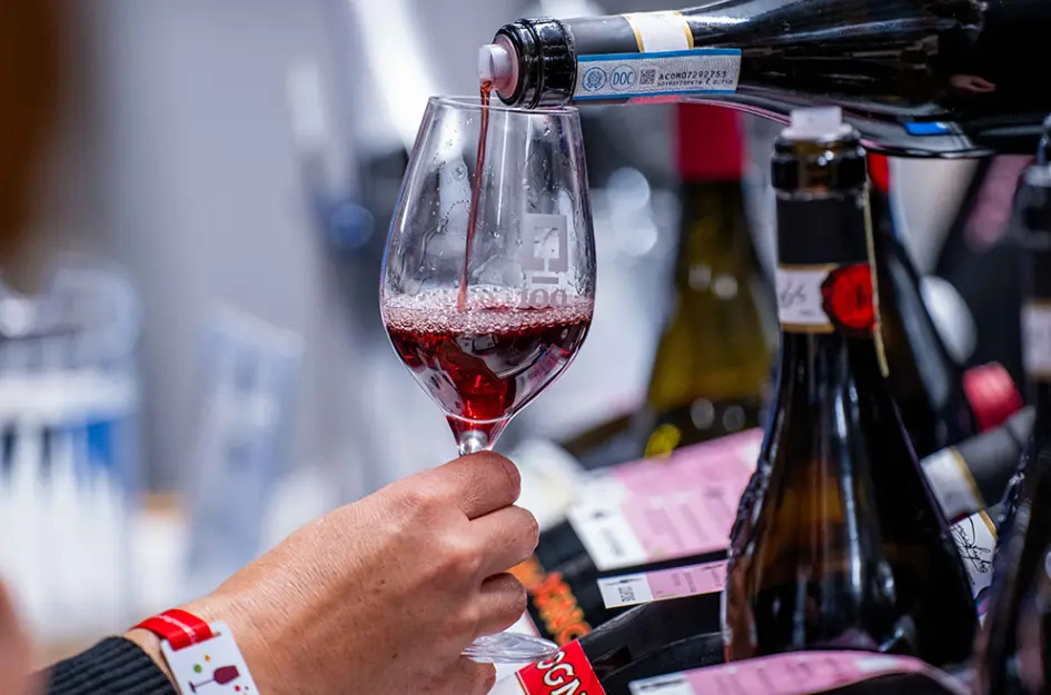 Sip, Savour, Discover | La Grande Dégustation de Montréal 2025 Awaits Wine & Spirits Lovers 1