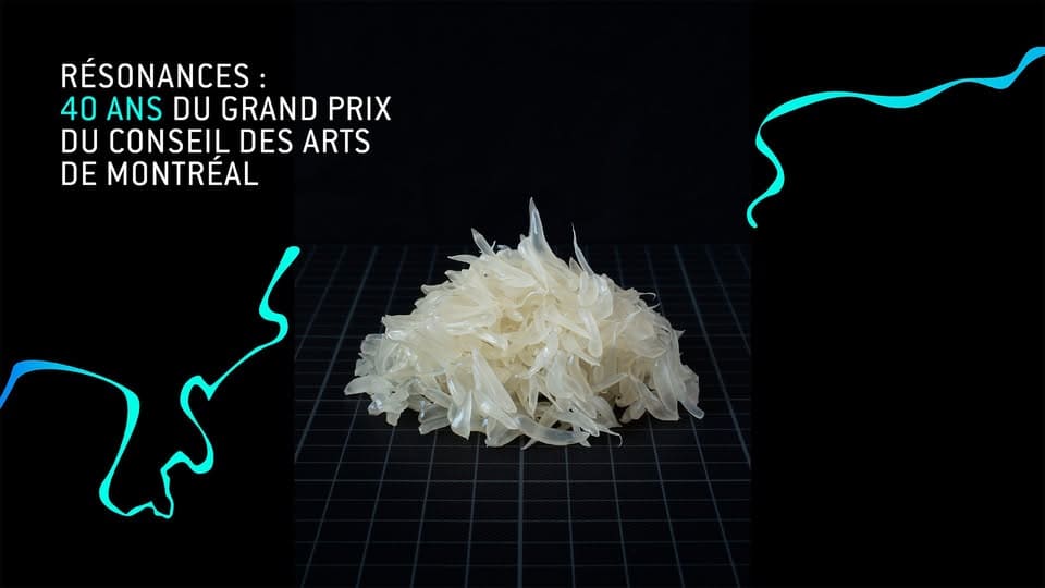 Résonances | 40 Years of the Conseil des Arts de Montréal Grand Prize