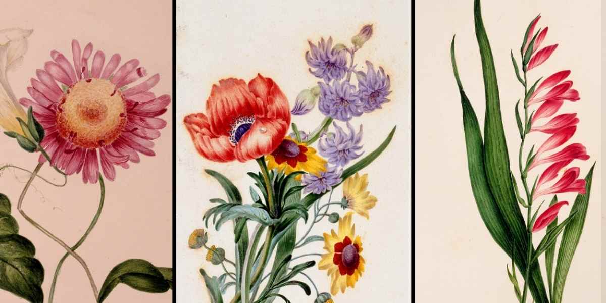 McCord Stewart Museum