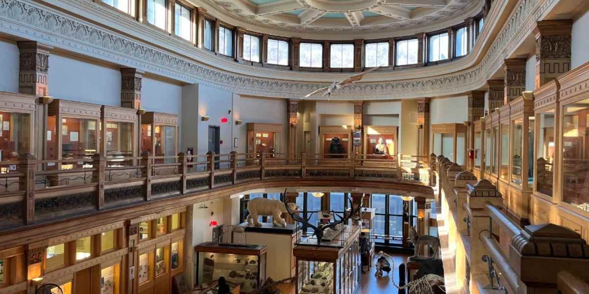 Redpath Museum- Best Museums Montreal 5 Must-Visit Spots for First-Time Visitors