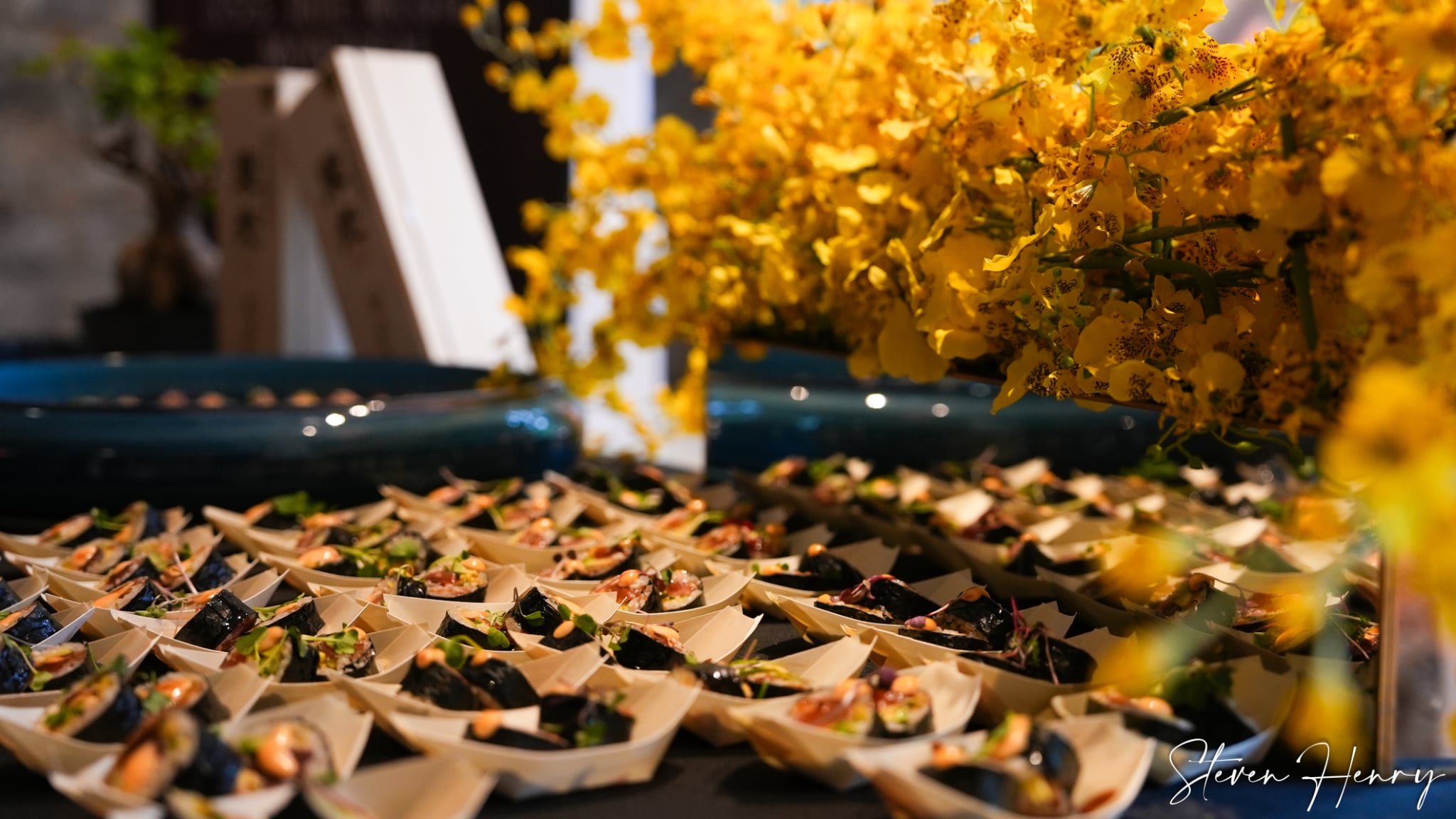 RAPPEL COCKTAIL BÉNÉFICE FONDATION SAUMON : Une soirée pour protéger bien plus qu’un poisson.