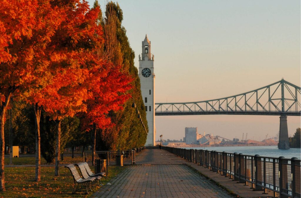 Thinking About Living in the Old Port?