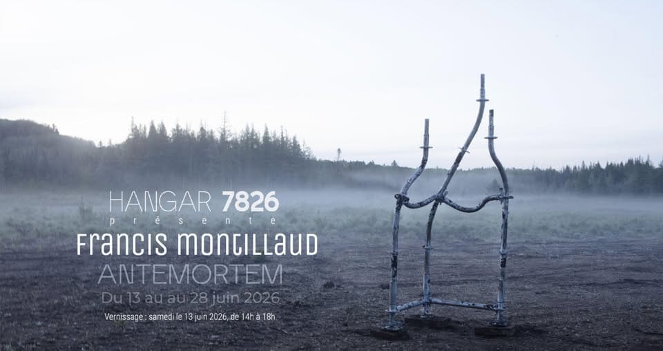 Antemortem by Francis Montillaud