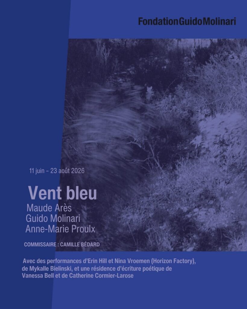 Vent Bleu at Fondation Guido Molinari
