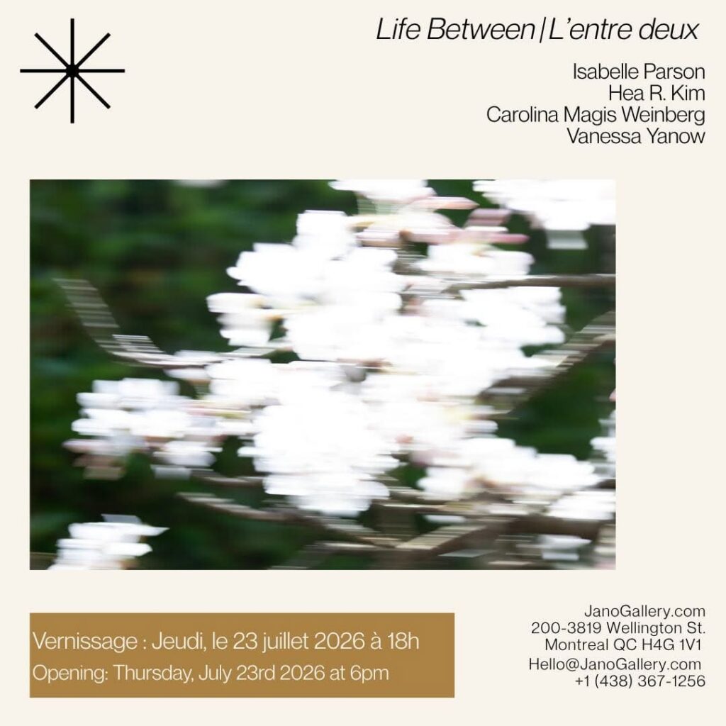 Four Women Artists Explore Transformation at Galerie JANO
