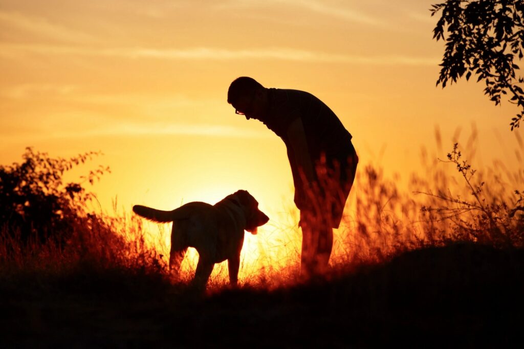 Raw pet food