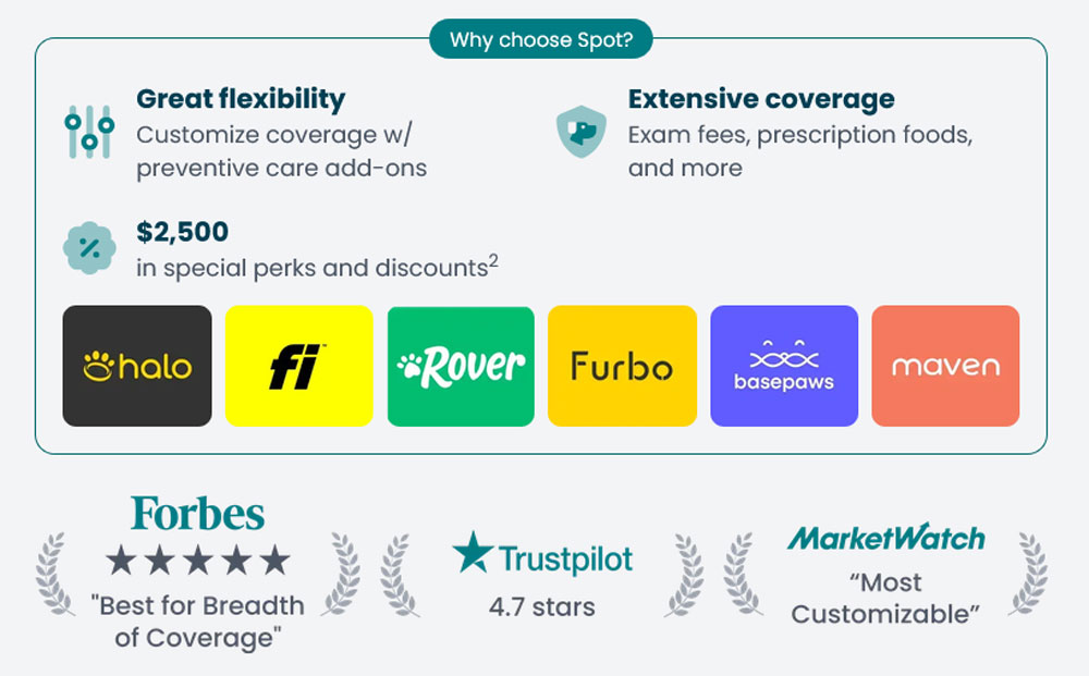 Comparing pet insurance - best bet insurance reviews