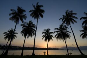Dominican Replublic
